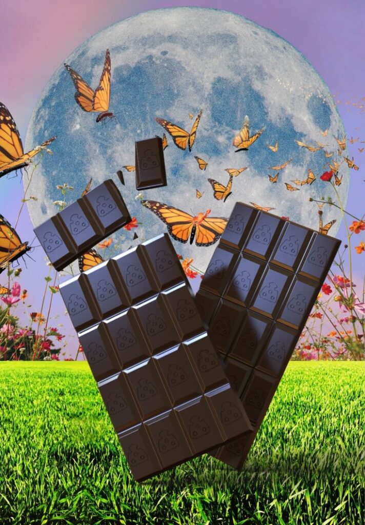 Benefits of Magic Mushroom Chocolate Bars